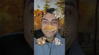 Help cartoon animals puzzle game #game #puzzlegame #animalgame
