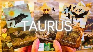 TAURUS LOVE: THIS IS WHAT THEY'VE BEEN WAITING FOR!! ❤️ TAURUS TAROT