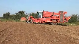 MH Farms, Comber, digging spuds with a dewulf RA3060