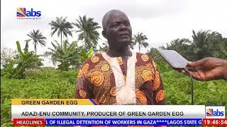 Insider News:  Adazi-Enu Community, Producers Of Green Graden Egg