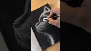 Easy Cat drawing using charcoal ✨ #shorts