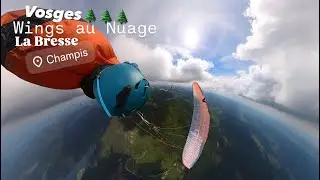 Les champis 19 05 25 / wings au nuage
