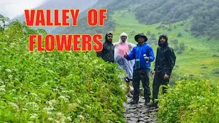 VALLEY  OF  FLOWERS | uttarakhand | phoolon Ki ghati |