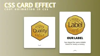 CSS Card Hover Effects | Expand/Collapse Cards with Cool Animation | HTML & CSS
