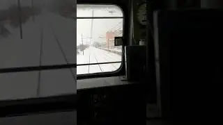 E.656 Caimano sulla neve.