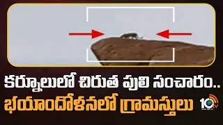 Leopard Spotted at Kurnool | కర్నూలులో చిరుత పులి సంచారం..భయాందోళనలో గ్రామస్తులు | 10TV News