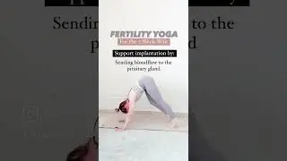 Fertility Yoga to support your 2 week wait #ttc #infertility #fertilitysupport #ivf