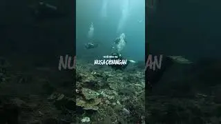 Welcome to Nusa Ceningan  #nusapenida #adventuresport  #scubadiving #ceningandivers #learntodive