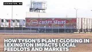 How Tyson's plant closing in Lexington impacts local feedlots and markets