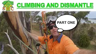 СКАЛОЛАЗАНИЕ И ДЕМОНТАЖ, часть первая (MRS, а не SRS) Обучающий фильм STC Tree Services