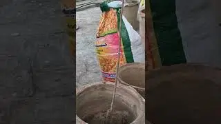 🪴 Repotting a Plant into a Bigger Gamla | Rooftop Garden Tips | #inderandomstudio #repottingplants