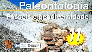 Temas de Paleontologia: 11. Fósseis e geodiversidade.