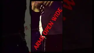 Pendulum-Archangel Lyrics Video (Just the two of us in the hazy summer sun)