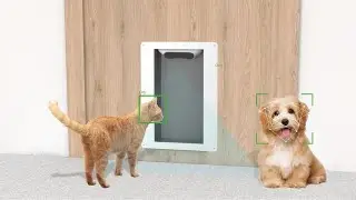 Now on Kickstarter: Petvation- The Smart Automatic Pet Door Powered With Ai