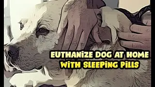Euthanize Dog at Home with Sleeping Pills