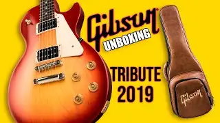 Unboxing Gibson Les Paul Tribute Satin Iced Tea 2019