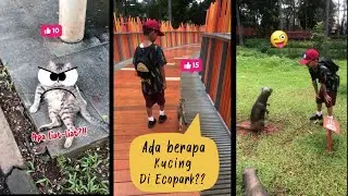 KUCING BISA NGOMONG??😽🐈&zwj;⬛