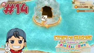 MENCARI CURSED TOOLS - STORY OF SEASONS: Friends of Mineral Town #14