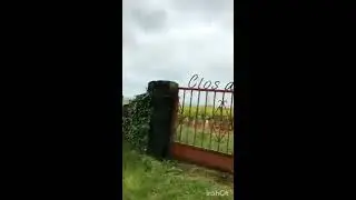 По дороге Гран Крю. Fixin