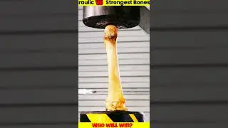 Hydraulic press vs human bones||