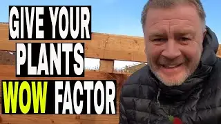 Allotment Gardening Organic Compost Additive.