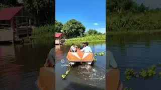Lakhimpur Resort at Moinapar #বন #ফুল।। #flowers #highlights #reels