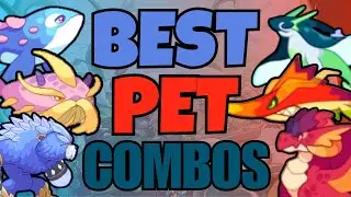 The Best Pet Combos For Everyone! | Prodigy Math Game