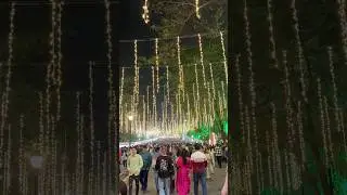 Art Festival Thane 2025 || Upvan Lake Thane