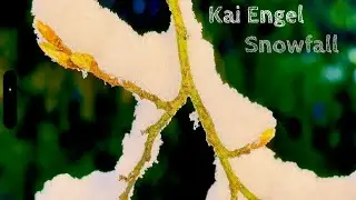 Kai Engel - Snowfall (Intro) *[Music Video]*