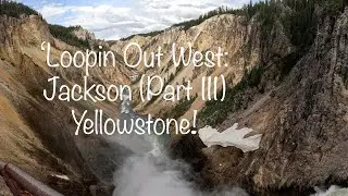 'Loopin Out West': Jackson - Yellowstone (Part III)