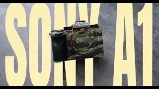 Sony A1 Wrap Application
