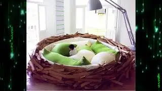 Unique Bed Designs Amazing Beds