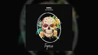 TPC062 - Siwell - Just Numbers