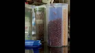 Marshal Storage Jar | Maxware.pk
