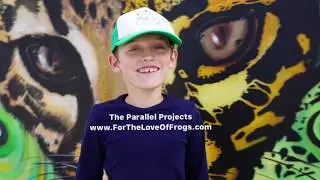 What are the  Parallel Projects?