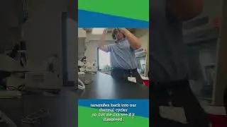 Day in the Life at Russell Sage College: Daniel #russellsagecollege #biology #college #internship