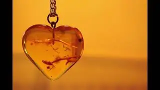 Hemi-Sync - Metamusic - Amber