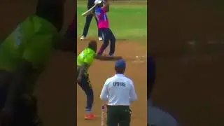 Superb Catch 😱🔥❤️ #cricket #catch #cricketlover