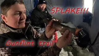 Sight fishing Splake on the Gunflint trail!