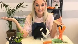 Rabbit Facts Kids