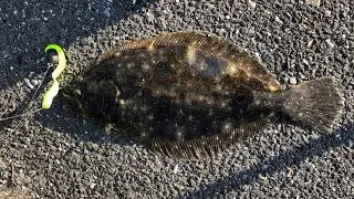 Big mistake while Fluke fishing!! (6-30-2022)