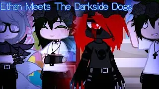 Ethan Meets The Darkside Dogs | Gacha Club