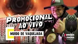 Andrews Vin&iacute;cius &ndash; S&oacute; Hit no Promocional 2026 🔥 | Piseiro e Arrocha do Neg&atilde;o