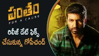 Gopichand Pantham Movie Release Date Locked | #Gopichand | #Mehreen Kaur Pirzada |