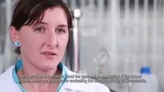 INCDSB   Biomateriale & Biomedicina