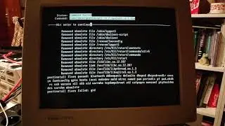 NetBSD upgrade from 8.1 to 9.0 on a DEC Alpha Workstation