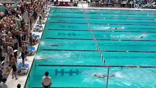 400 Free Relay | Short Course Champs | 2025 1214 