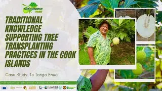 Preparing Trees for Transplanting from Traditional Knowledge - Case Study from the Cook Islands