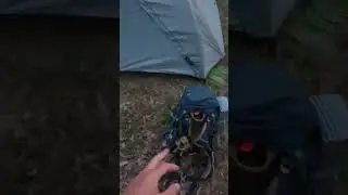 Boj&iacute; se někdo sp&aacute;t v lese ? ⛺️🫣