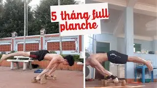 5 tháng full planche / Planche progression